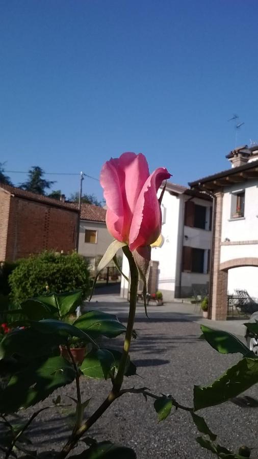 مبيت وإفطار Pietra dei Giorgi Gli Acini المظهر الخارجي الصورة